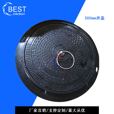 SMC圆井盖φ300